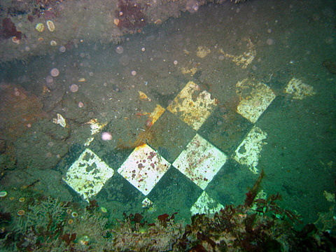 Bathroom tiles on the floor of the SS Lochgarry